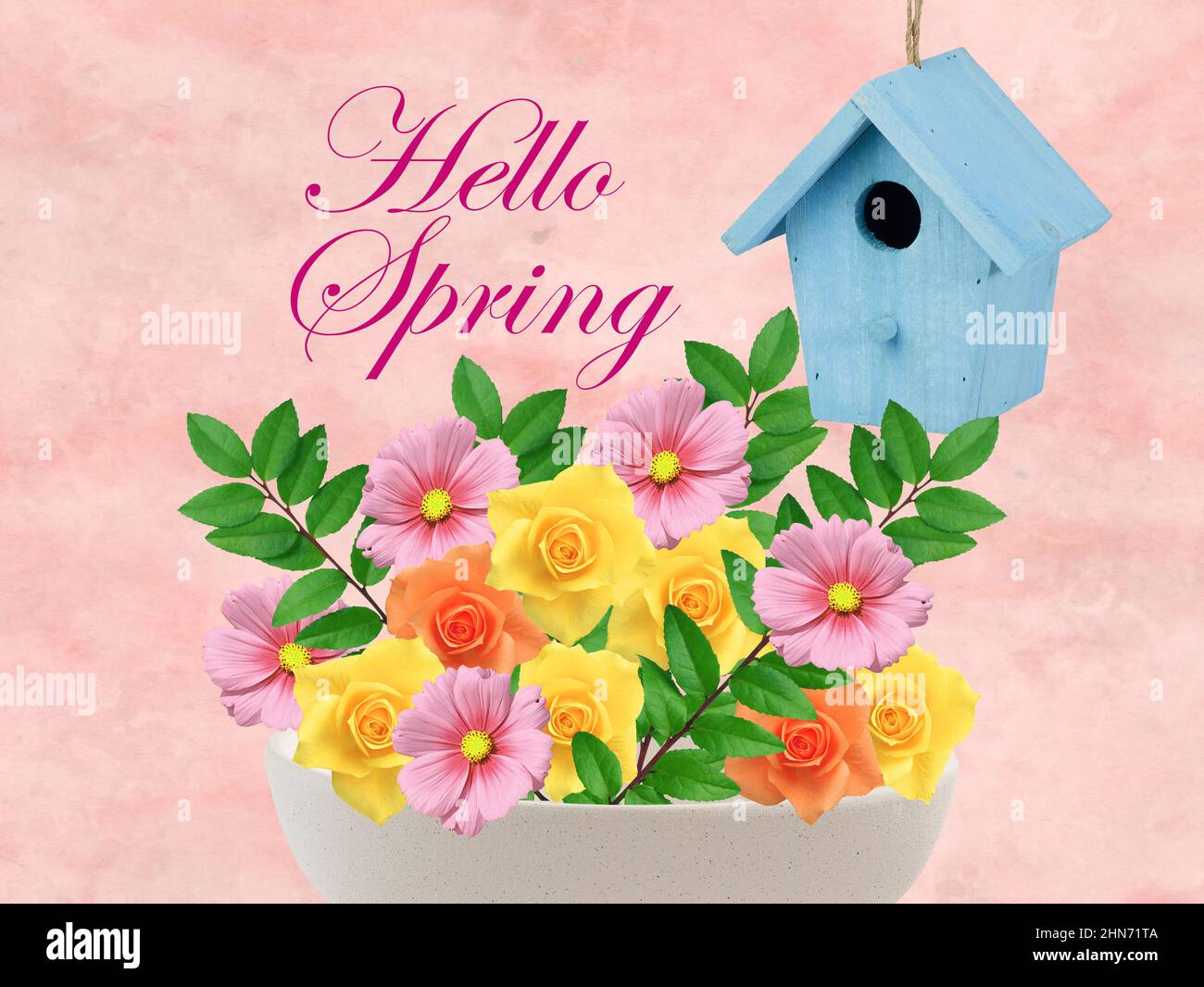 Hallo Spring-Karte. Nistkasten und Blumen. Farbenfrohes Design. Stockfoto