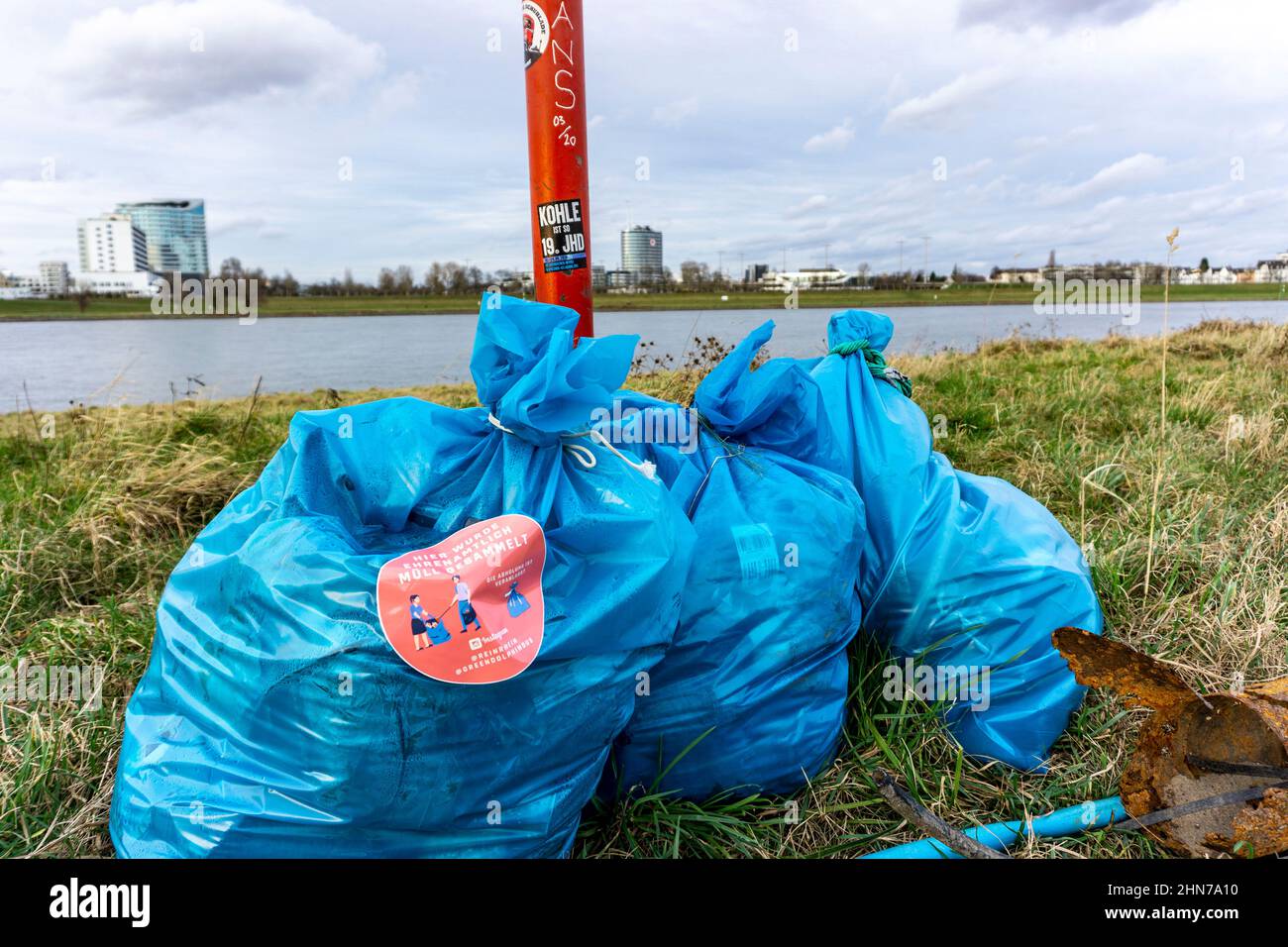 Der Rhein bei Düsseldorf, Müllsäcke in den Rheinwiesen gesammelt, warten darauf, weggenommen zu werden, freiwillige Sammelaktion, #Reinrhein, NRW, Germ Stockfoto