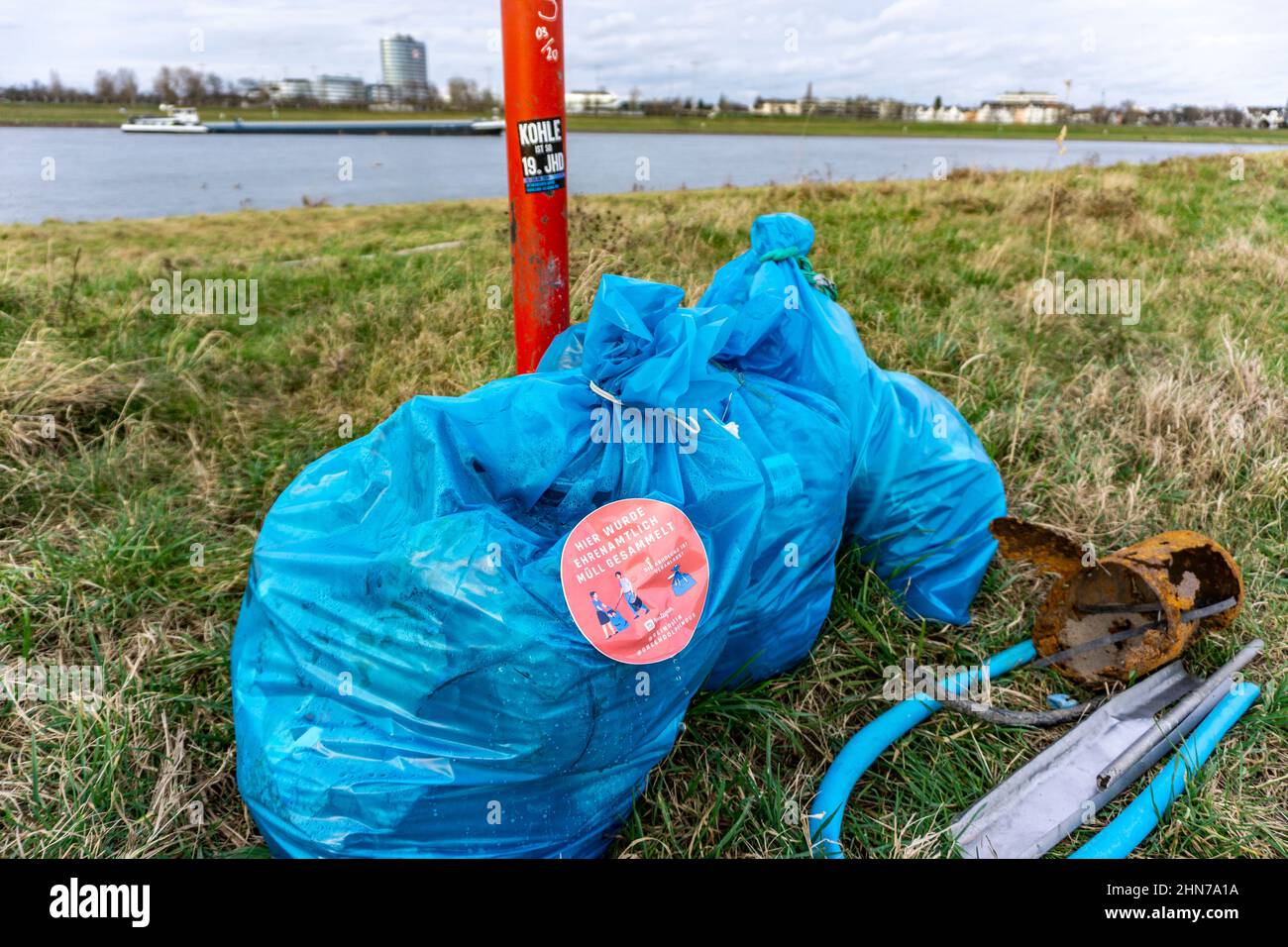 Der Rhein bei Düsseldorf, Müllsäcke in den Rheinwiesen gesammelt, warten darauf, weggenommen zu werden, freiwillige Sammelaktion, #Reinrhein, NRW, Germ Stockfoto