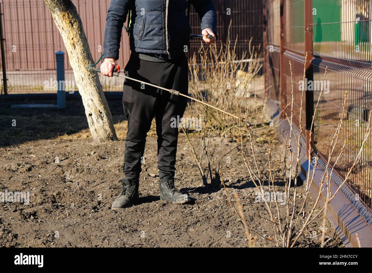 Pestizide, Pestizide auf Johannisbeerbusch sprühen. Unschärfe Landwirt Mann sprühen Baum mit manuellen Pestizid-Sprüher gegen Insekten im Frühlingsgarten Stockfoto