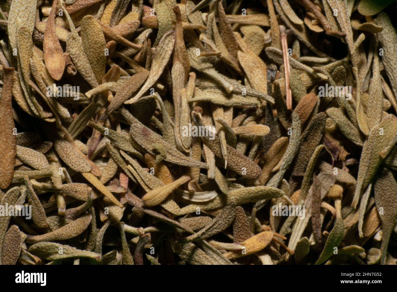 Lebensmittel Gewürze Nahaufnahme Fotografie, Aromen von kulturellen Speisen. Kochen mit Geschmack. Thymian-Gewürz. Stockfoto