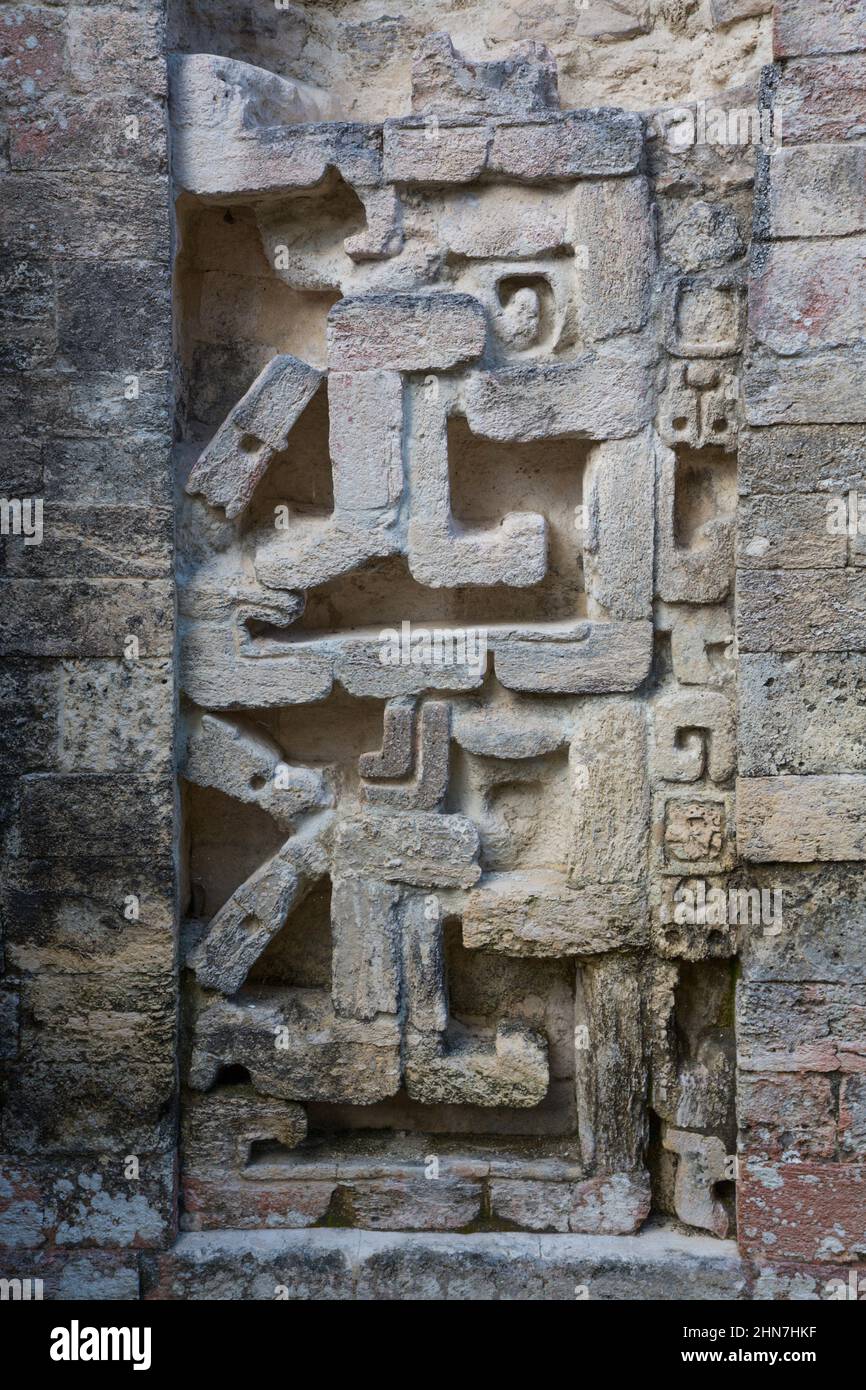 Stuck Zoomorphisches Mosaikdesign, Struktur 1, Maya-Ruinen, Chicanna Archäologische Zone, Campeche State, Mexiko Stockfoto