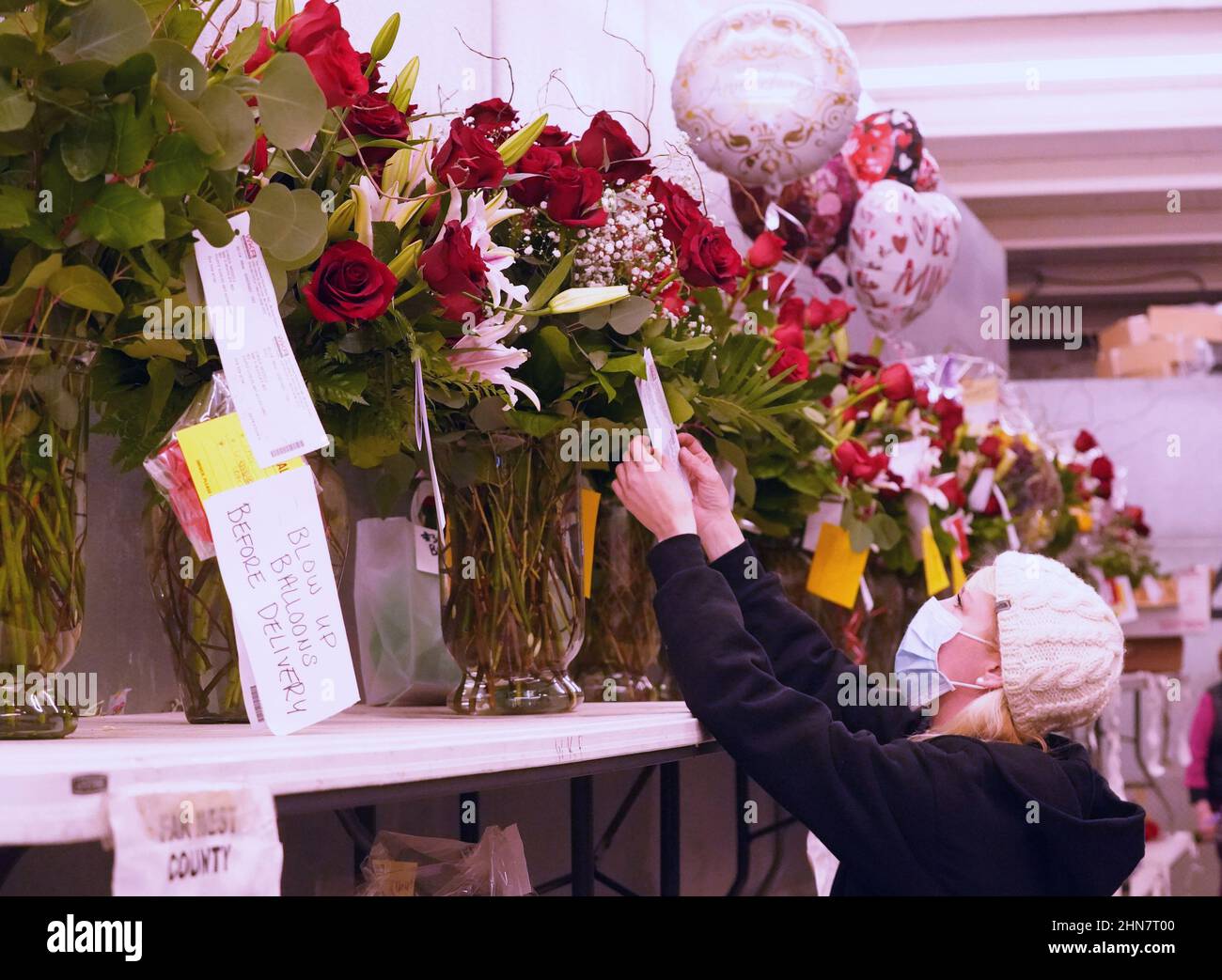 St. Louis, Usa. 14th. Februar 2022. Die Blumenarrangerin Amanda Lakey sucht am 14. Februar 2022 für einen Kunden ein Arrangement zum Valentinstag bei Walter Knoll Florist in St. Louis. Foto von Bill Greenblatt/UPI Credit: UPI/Alamy Live News Stockfoto