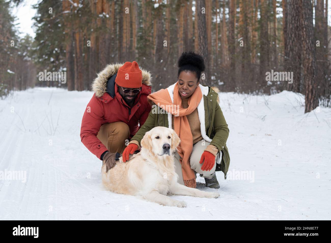 Afrikanisches junges Paar in warmer Kleidung, das den Hund berührt, der am Wintertag auf dem Schnee liegt, während ihres Spaziergangs im Wald Stockfoto