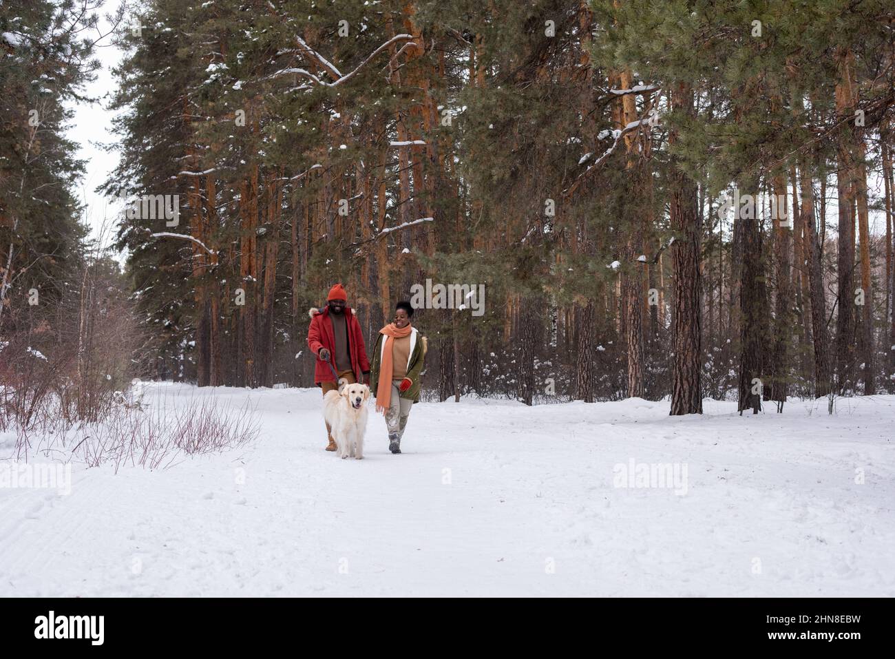 Afrikanisches Paar, das am Wintertag mit seinem Hund beim Spaziergang im Wald Spaß hat Stockfoto