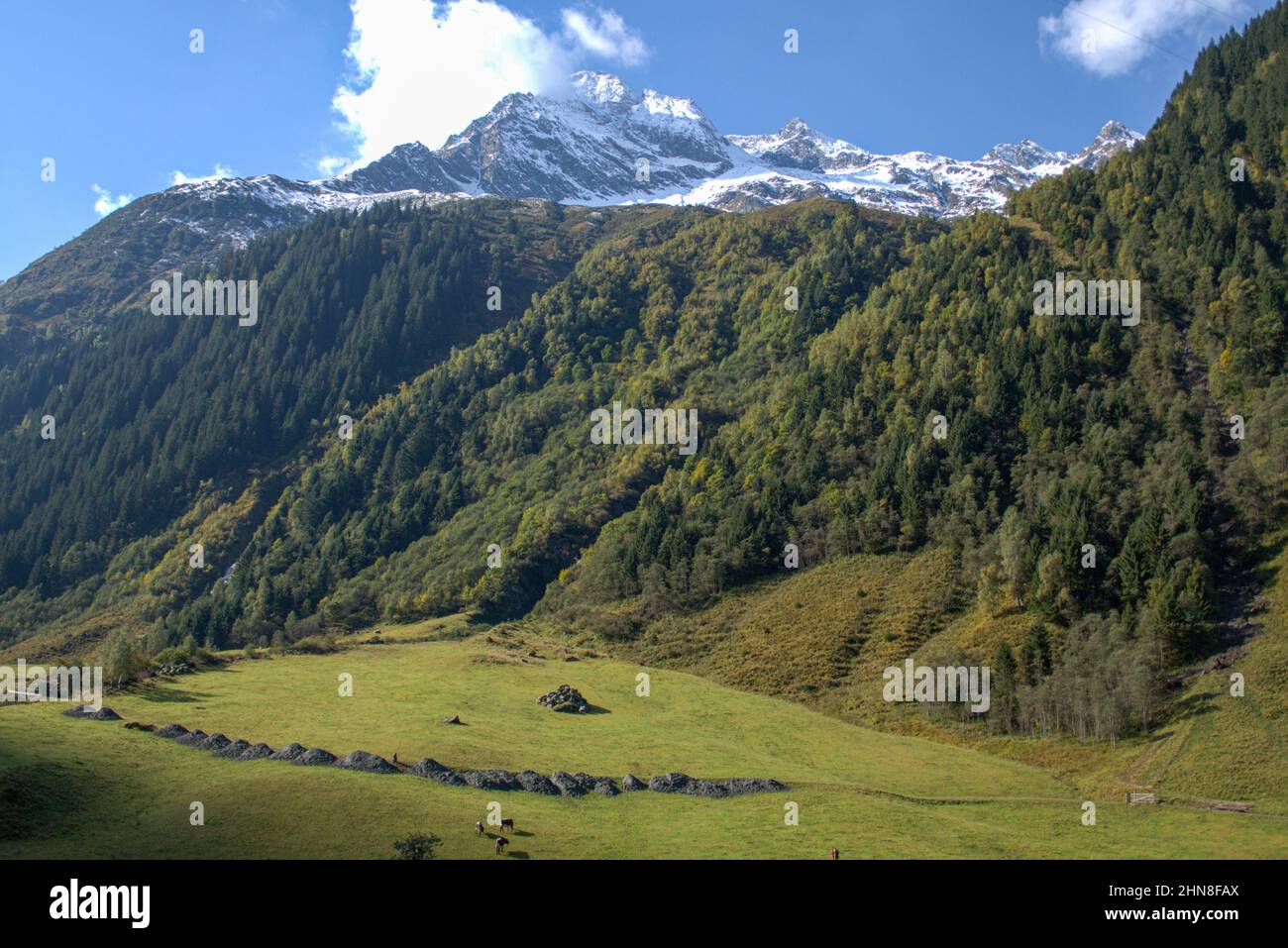Landschaft im Nationalpark hohe Tauern in Tirol, Österreich Stockfoto