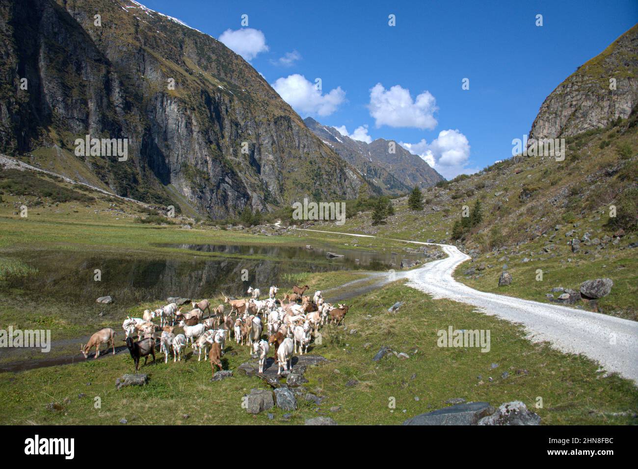 Landschaft im Nationalpark hohe Tauern in Tirol, Österreich Stockfoto