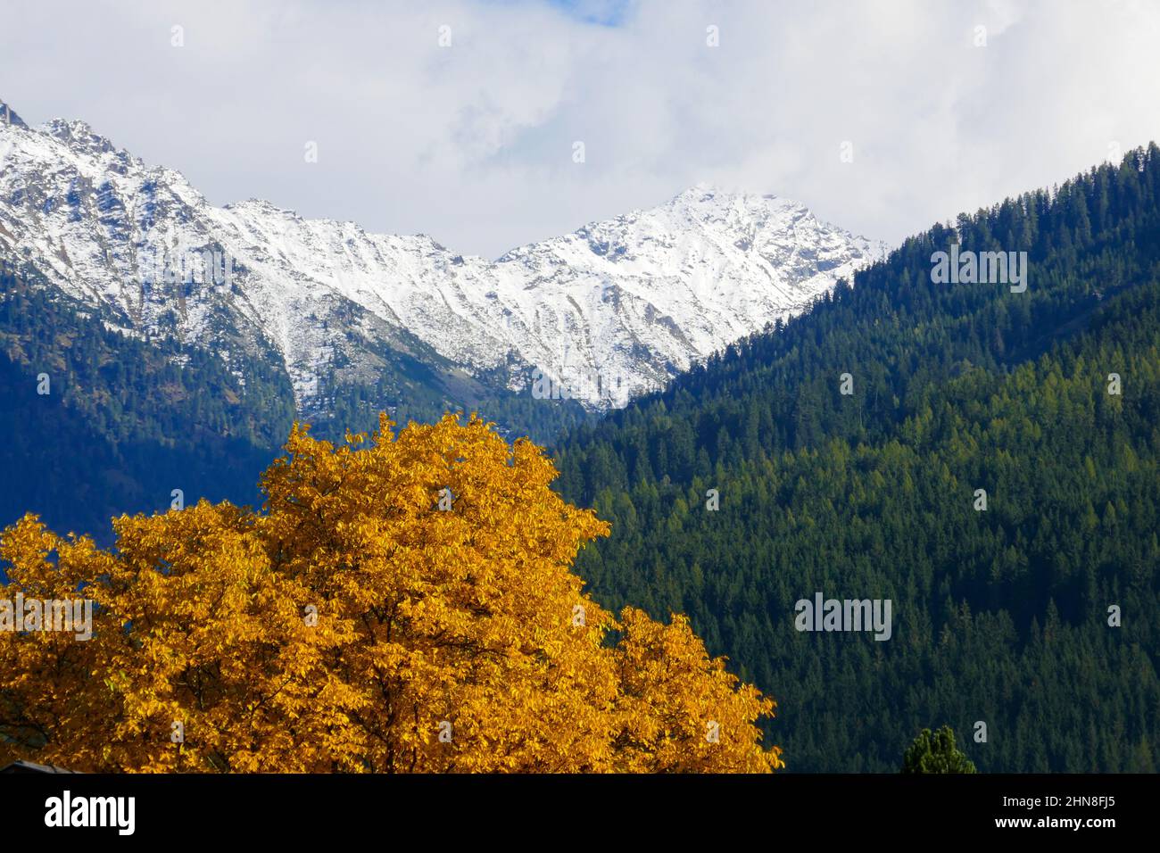 Berge und bunter Baum im Nationalpark hohe Tauern in Tirol, Österreich Stockfoto