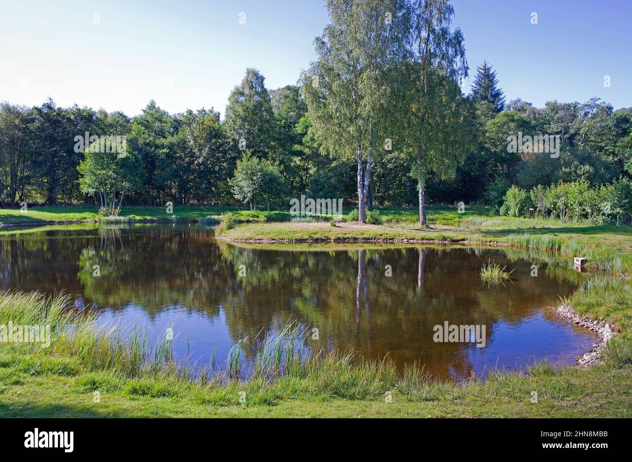 Ruhiger Angelteich in Rothiemurchus Fishery, in der Nähe von Aviemore, Cairngorms National Park, Scottish Highland Scotland, Großbritannien. Stockfoto