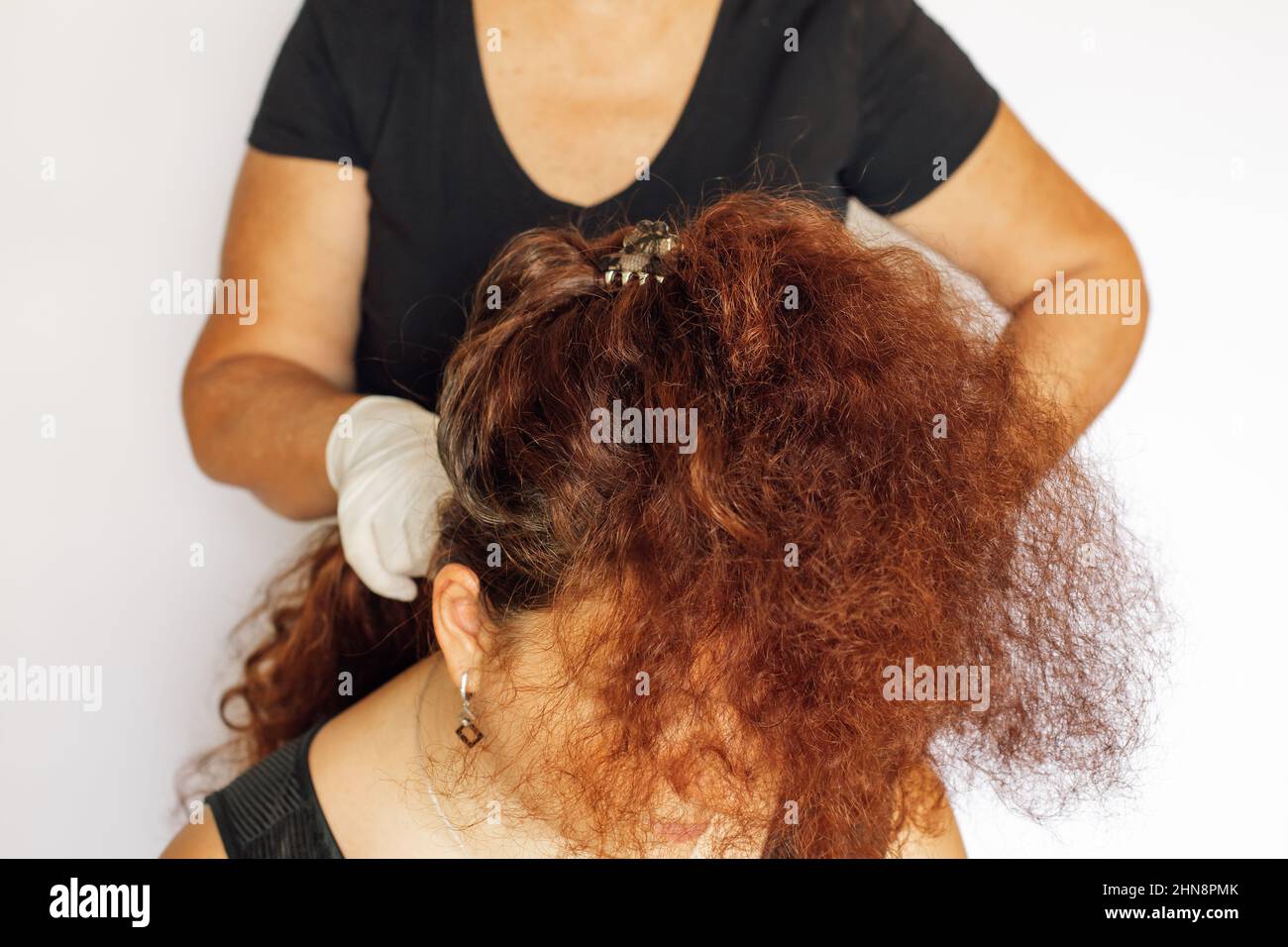 Weibliche Person mit Latexhandschuhen an den Händen färbt Frauenhaare in dunkelroter Farbe auf weißem Hintergrund. Haarfärbung zu Hause. Graue Haare loszuwerden Stockfoto