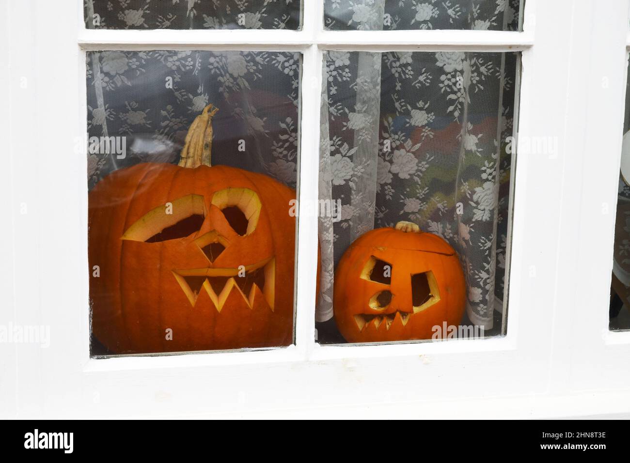 Zwei geschnitzte Kürbisse im Hausfenster, england Stockfoto