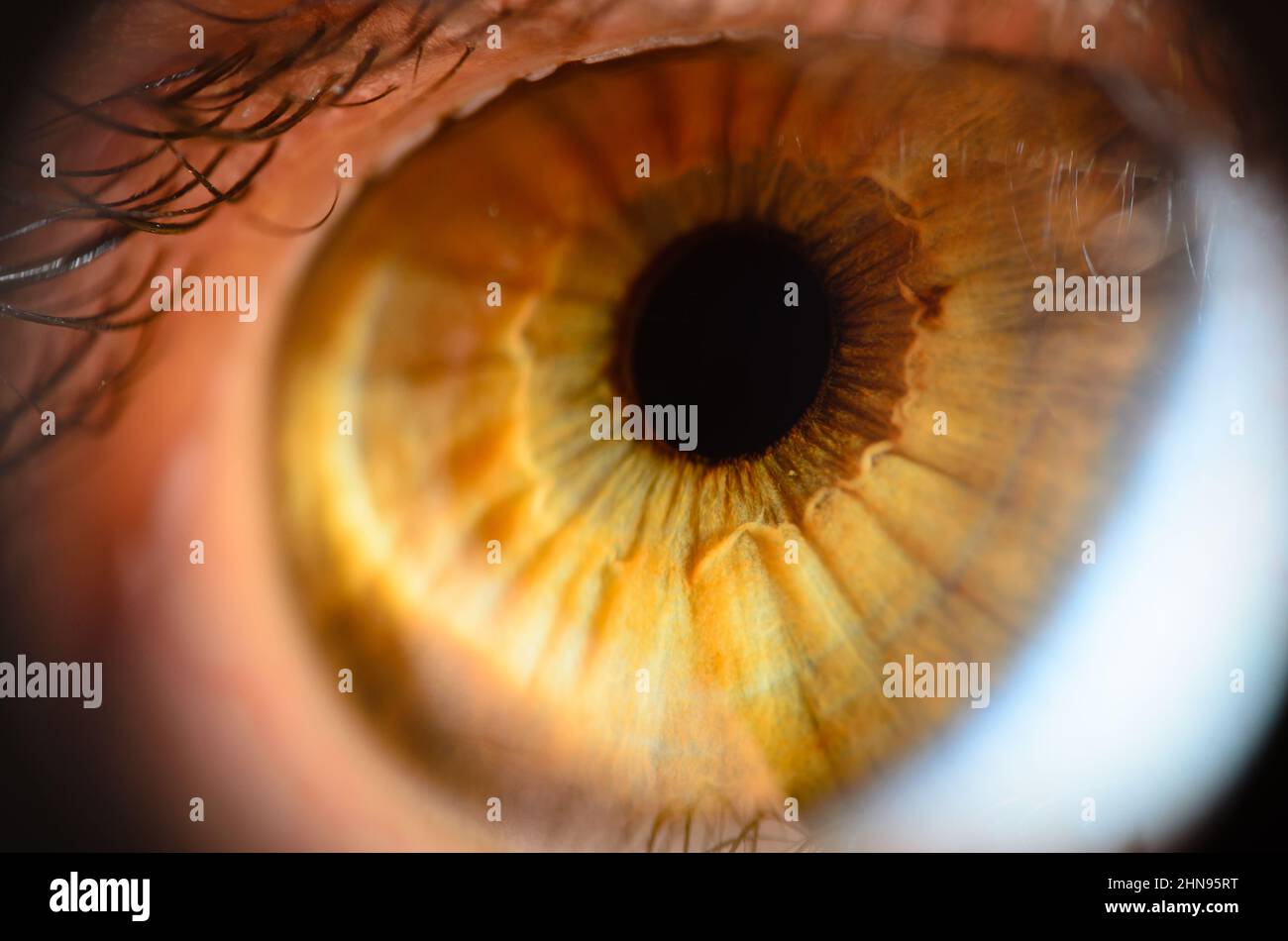 Makrofoto des menschlichen Auges. Nahaufnahme des menschlichen Auges mit geringer Schärfentiefe. Stockfoto