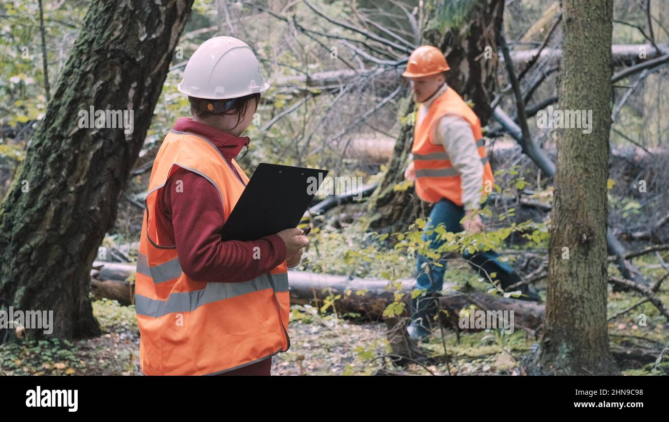 Umweltschützer eine Frau und ein Mann erstellen ein Strafprotokoll für illegalen Holzeinschlag Stockfoto