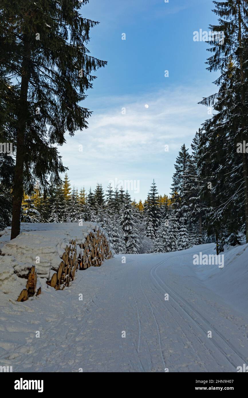 Winterlandschaft im thüringer Wald bei Frauenwald Stockfoto