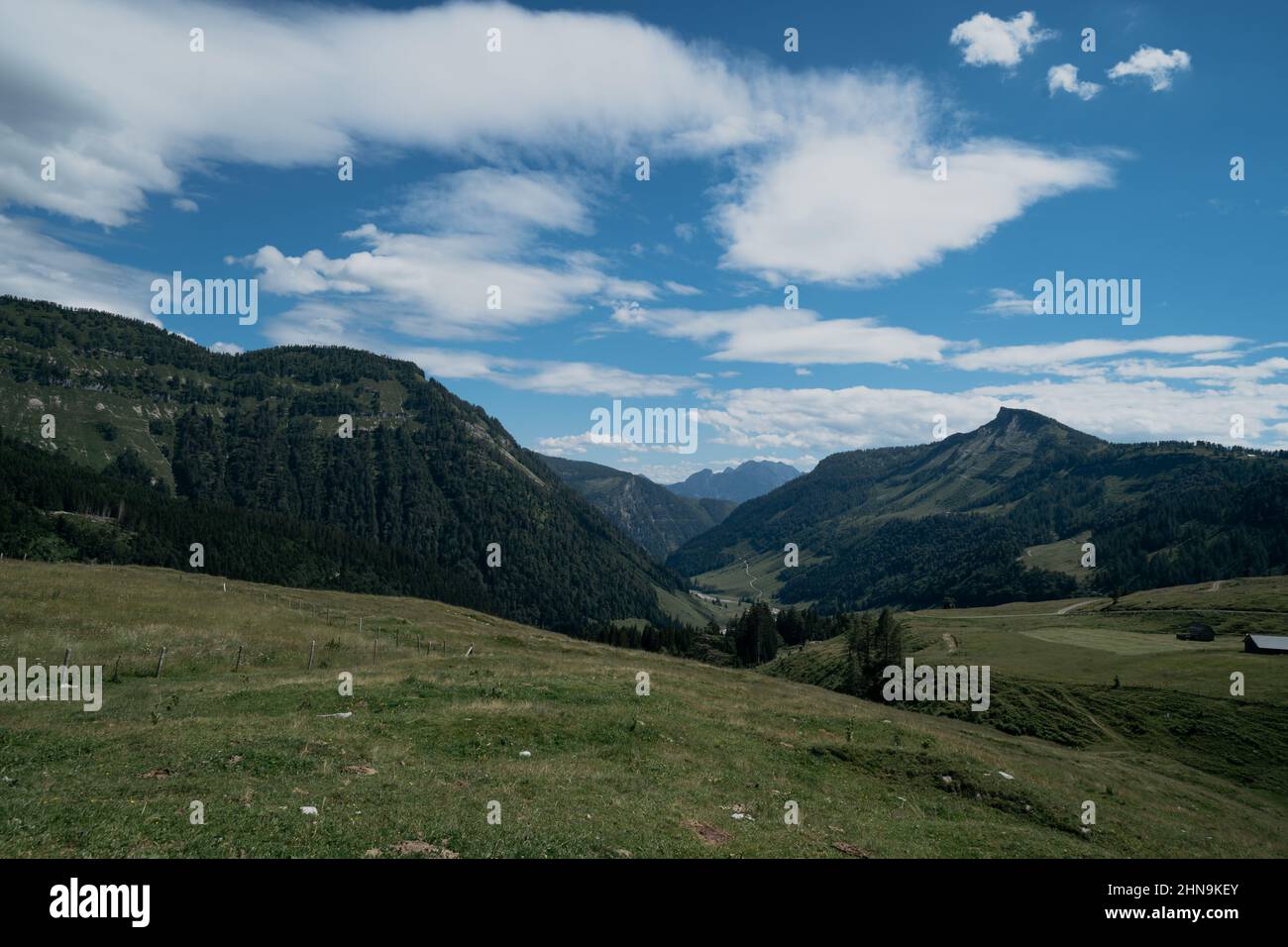 Österreichische alpine Landschaft Hochformat Sommer Stockfoto