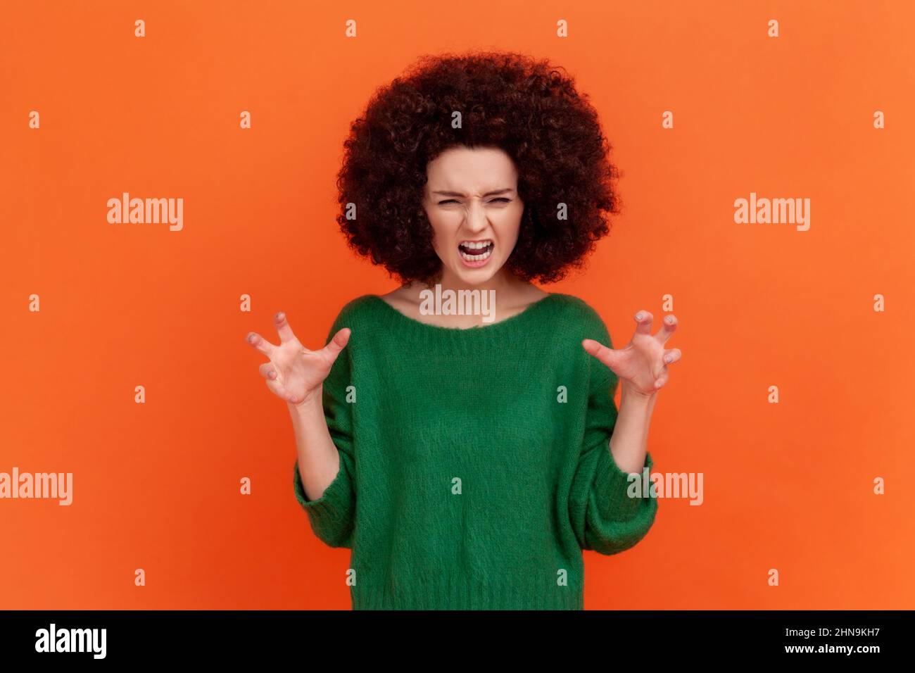Porträt einer wütenden Frau mit Afro-Frisur, die einen grünen Pullover im lässigen Stil trägt, der aggressive Emotionen, erhobene Arme und Schreie ausdrückt. Innenaufnahme des Studios isoliert auf orangefarbenem Hintergrund. Stockfoto