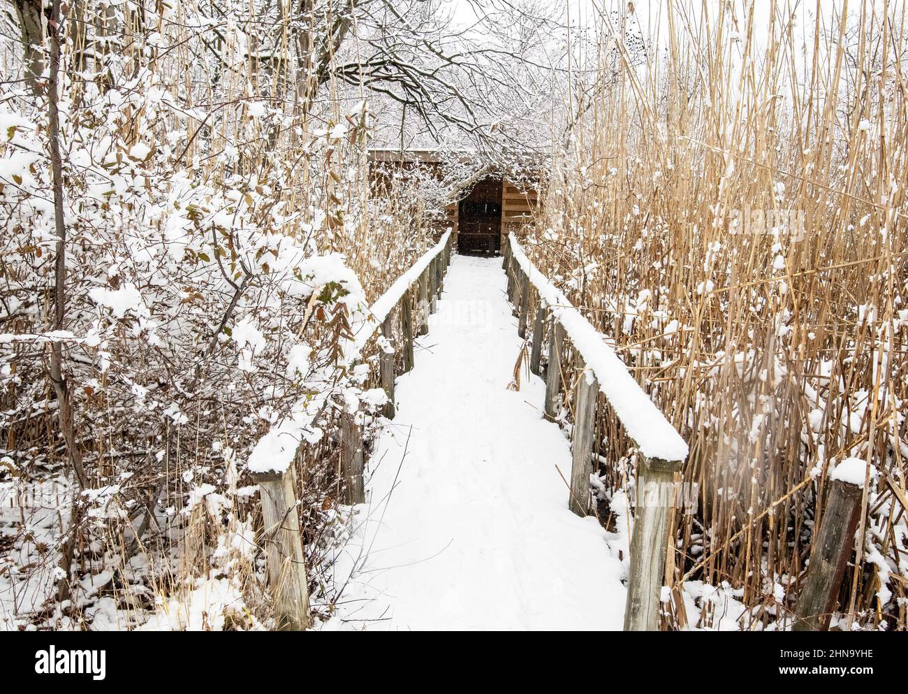 Winterschnee landschaftlich mit Sicht blind Stockfoto