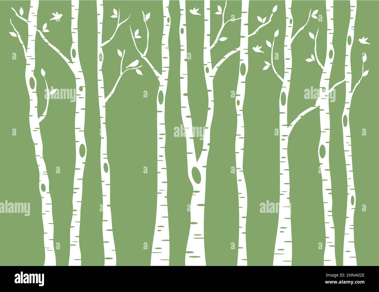Birkenwald mit Vögeln, Vektorgrafik auf grünem Hintergrund Stock Vektor