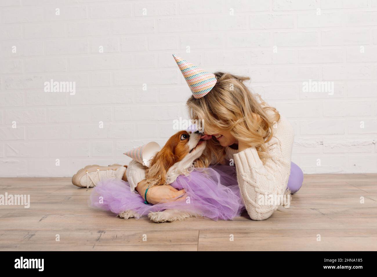 Love and Trust zeigt seiner Herrin während des Fotoshootings über seinen Geburtstag einen kavaliereren King Charles Spaniel in lila Umhang. Besitzer und ihre Haustiere Stockfoto