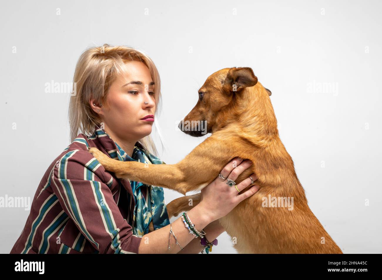 Eine niedliche junge Frau küsst und umarmt ihren Mischlingshund. Liebe zwischen Besitzer und Hund. Isoliert auf weißem Hintergrund. Studio-Porträt. Mädchen umarmt neue schöne Stockfoto