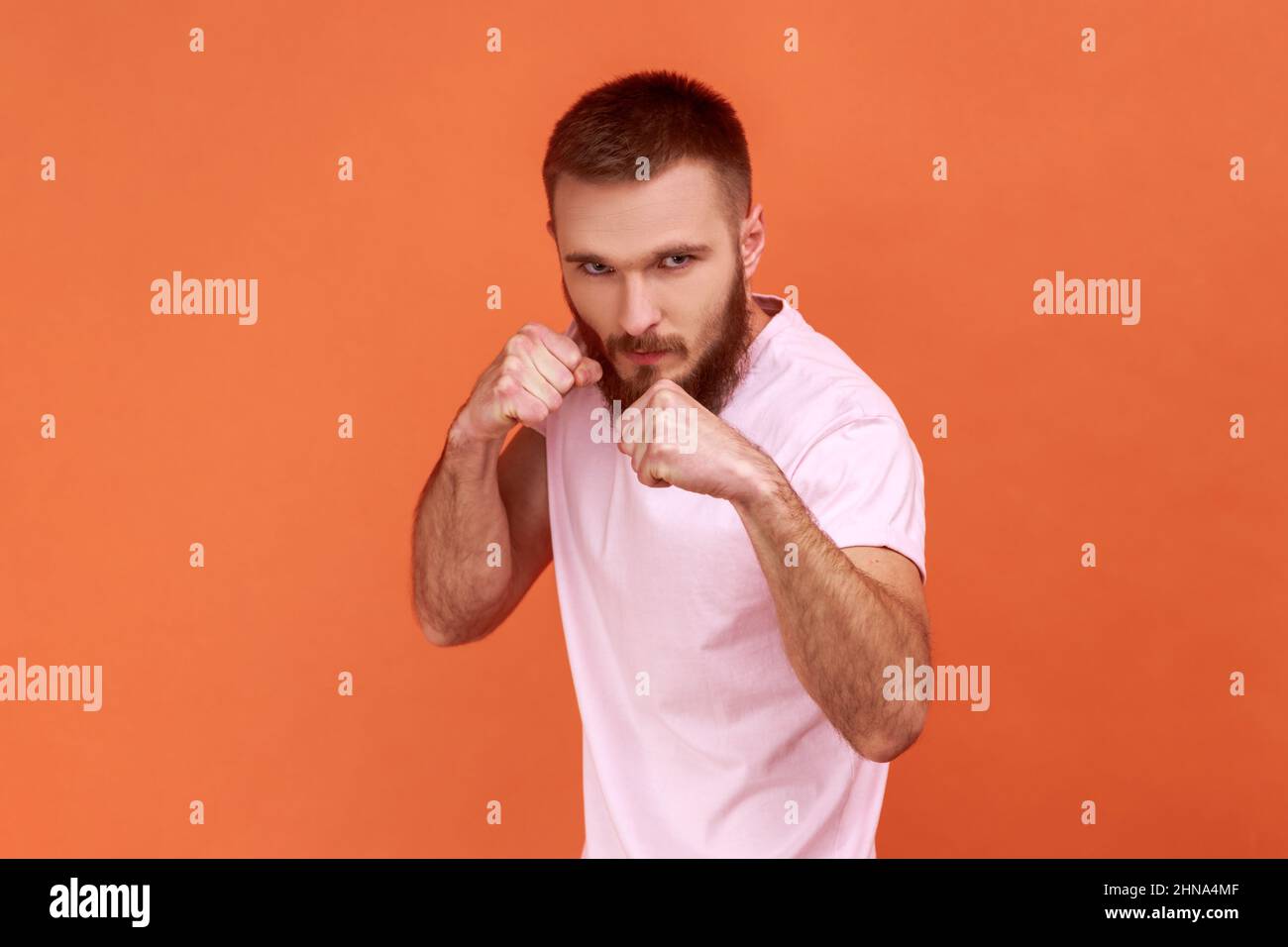 Porträt eines bärtigen Mannes, eines aggressiven Kämpfers, der geballte Fäuste bereit zum Boxen hält, eines Kampfkunsttrainers, einer Selbstverteidigung und eines pinken T-Shirts. Innenaufnahme des Studios isoliert auf orangefarbenem Hintergrund. Stockfoto
