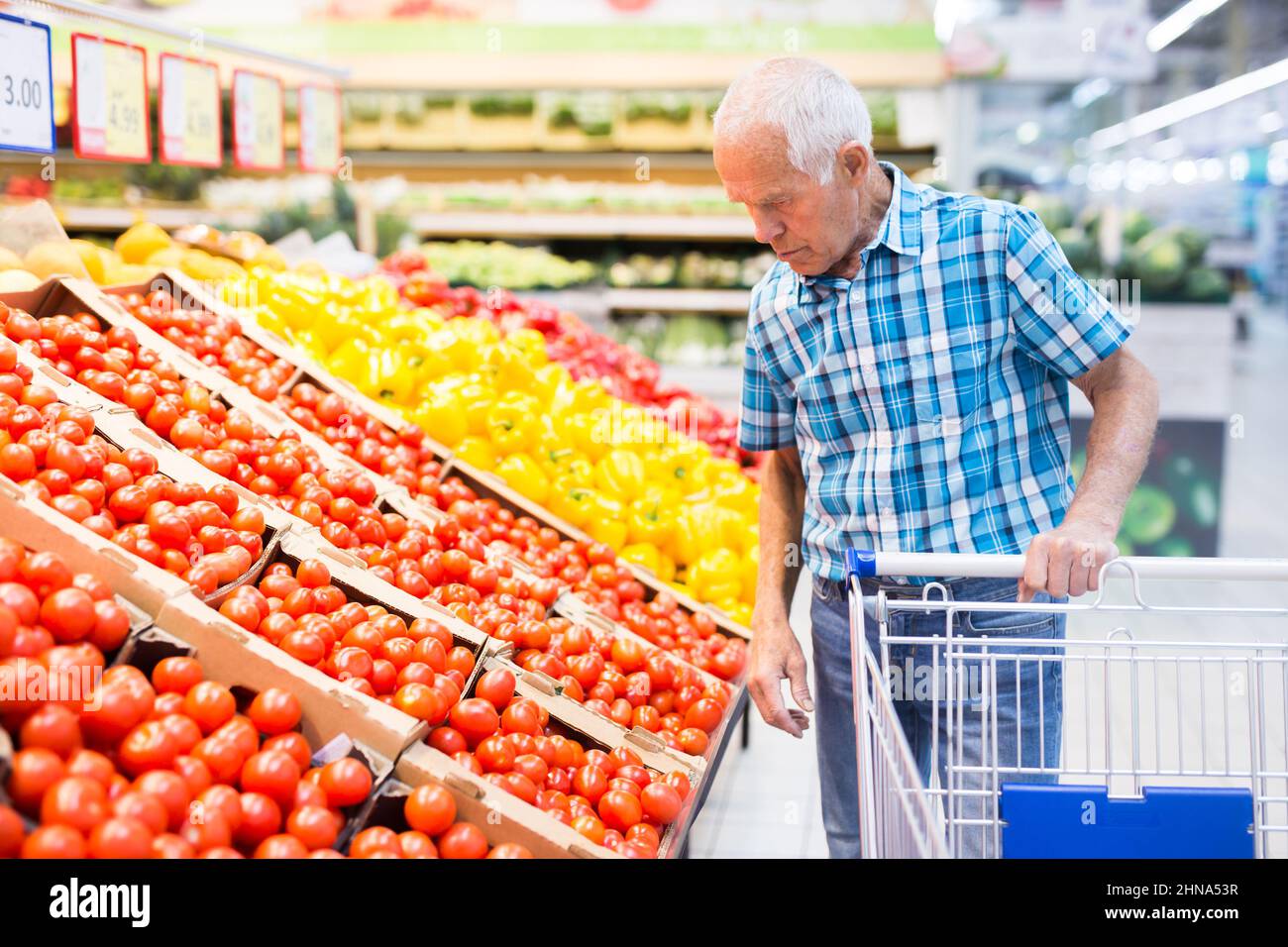 Reifer Senor unter Berücksichtigung von Tomaten im Gemüsebereich des Supermarkts Stockfoto