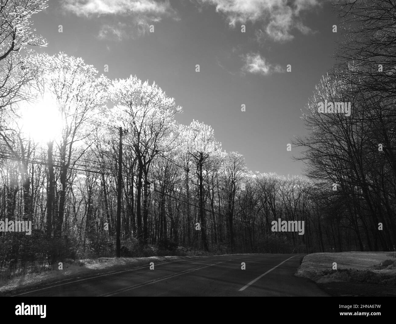 Eisige Bäume entlang einer Jefferson Township, New Jersey Road nach einem Tauwetter und Frost. Schwarz-weiße Landschaft. Stockfoto