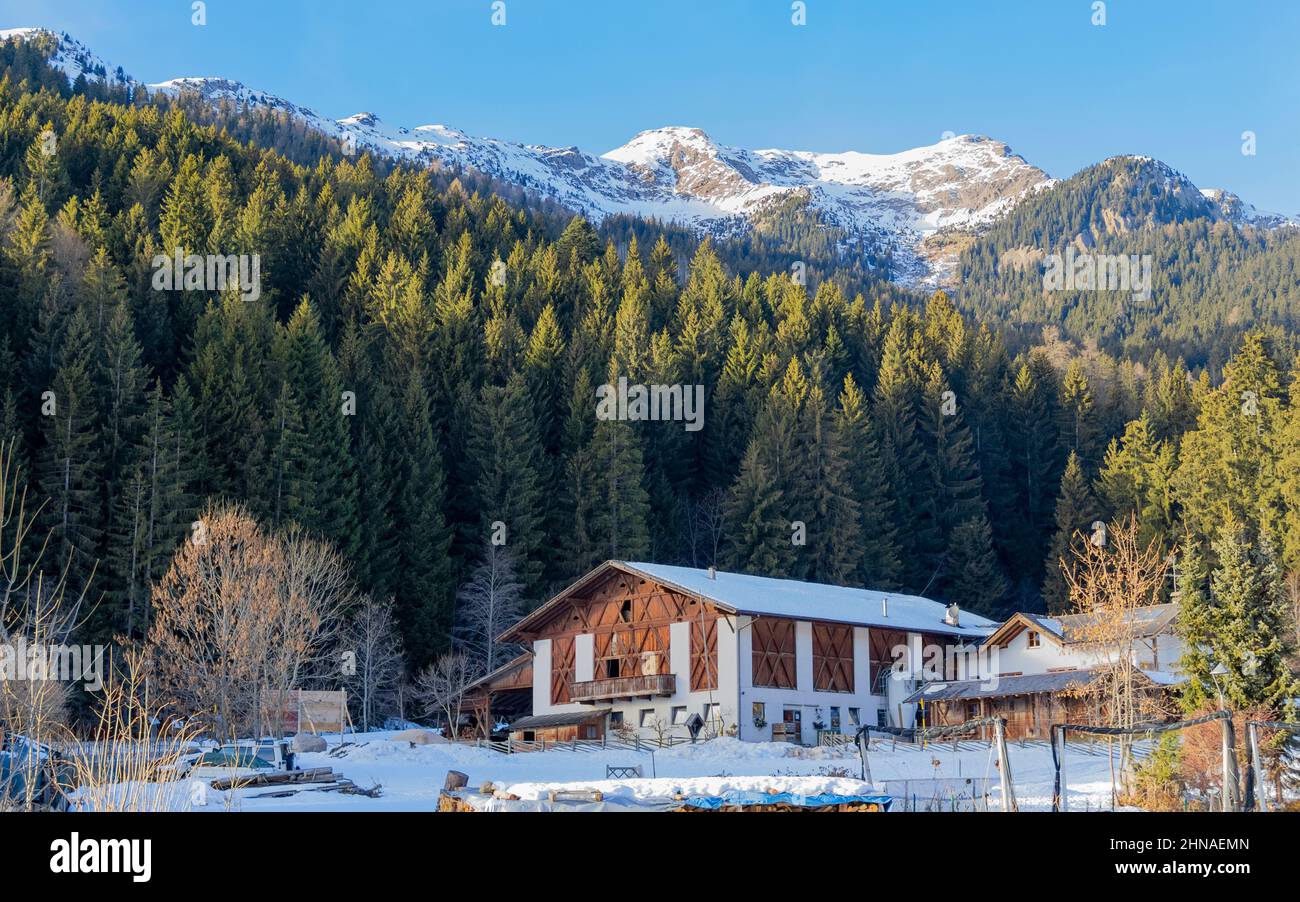 Sonnige Landschaft mit Scheune um die Gemeinde Unsere Liebe Frau im Walde-St. Felix in Südtirol im Winter Stockfoto