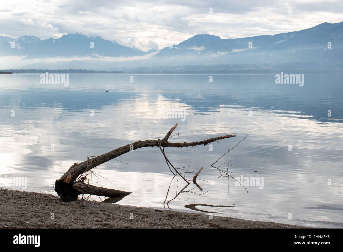 Alte Filiale am Strand des Lac du Bourget in Savoy (Frankreich) Stockfoto