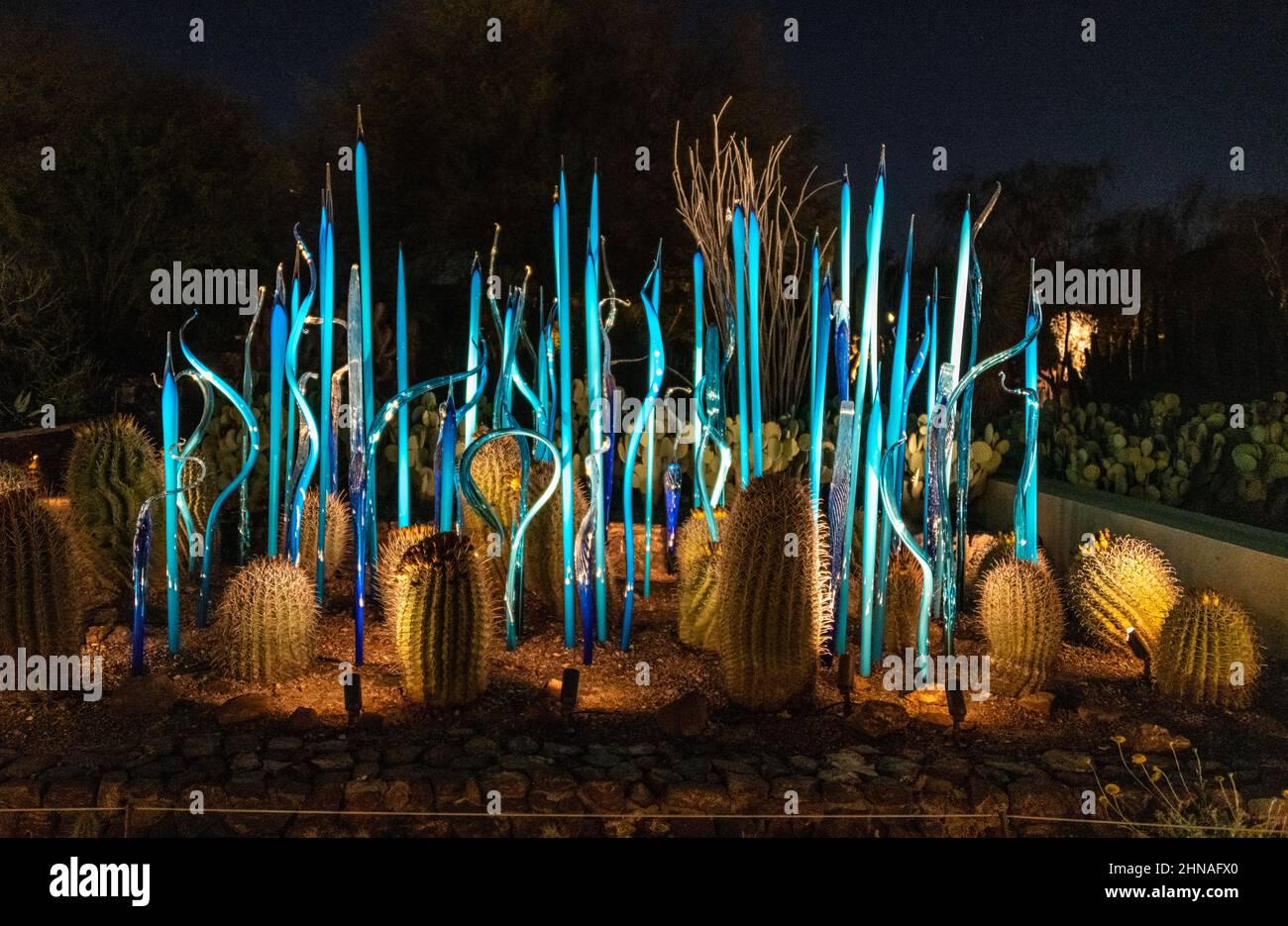 Chihuly im Garten, Blaues Birkenreed und Skorpionvögel, 2021 in der Nacht Stockfoto