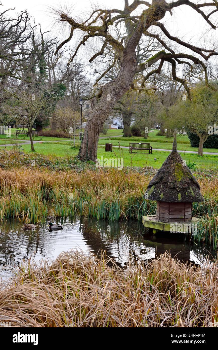 Ententeich mit traditionellem Entenhaus und Hartley Wintney Commons Park dahinter, Hampshire, Großbritannien Stockfoto