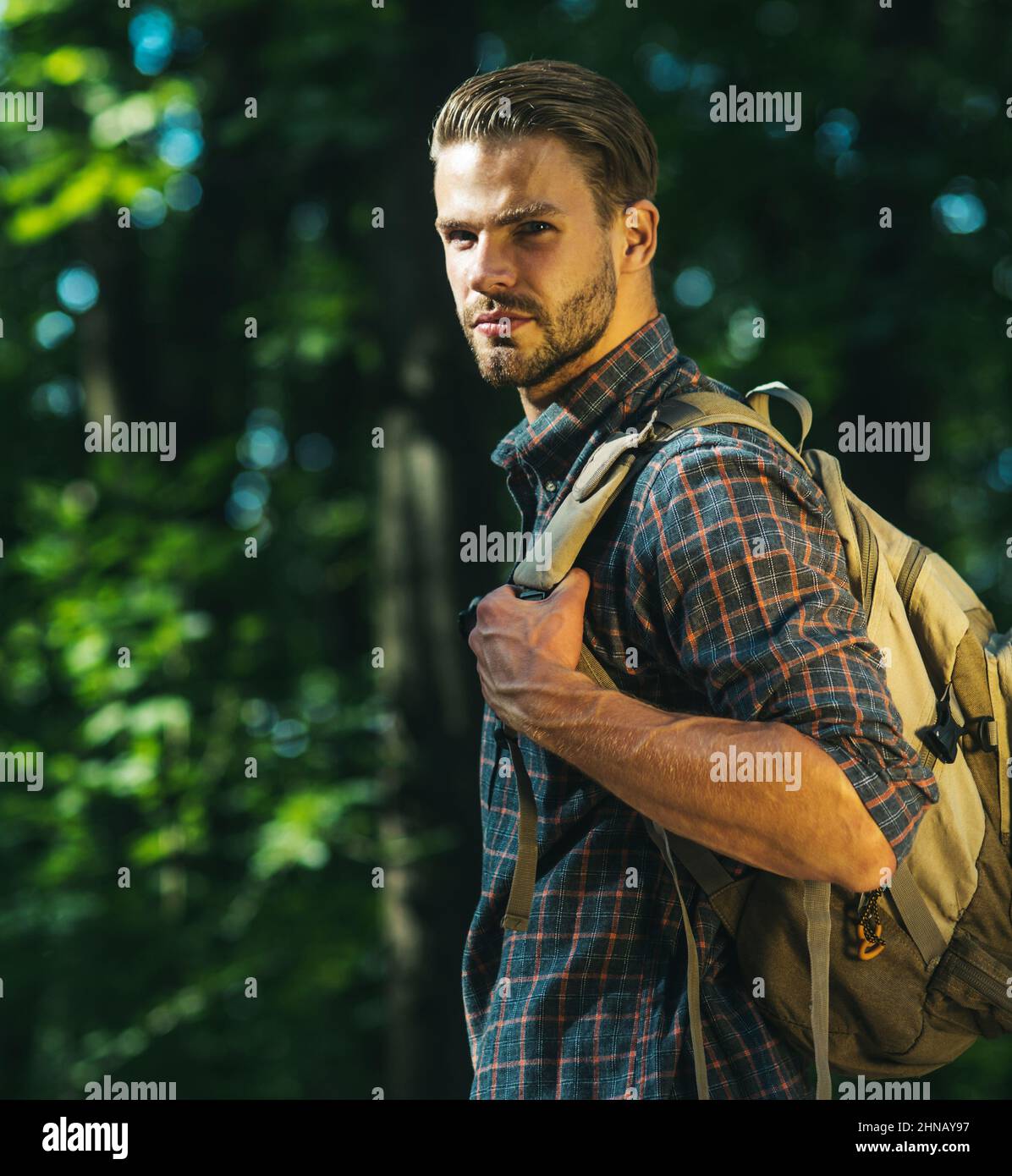 Männlicher Wanderer mit Rucksack beim Wandern im Wald. Bärtiger Mann wandern an sonnigen Tagen in den Sommerbergen. Stockfoto