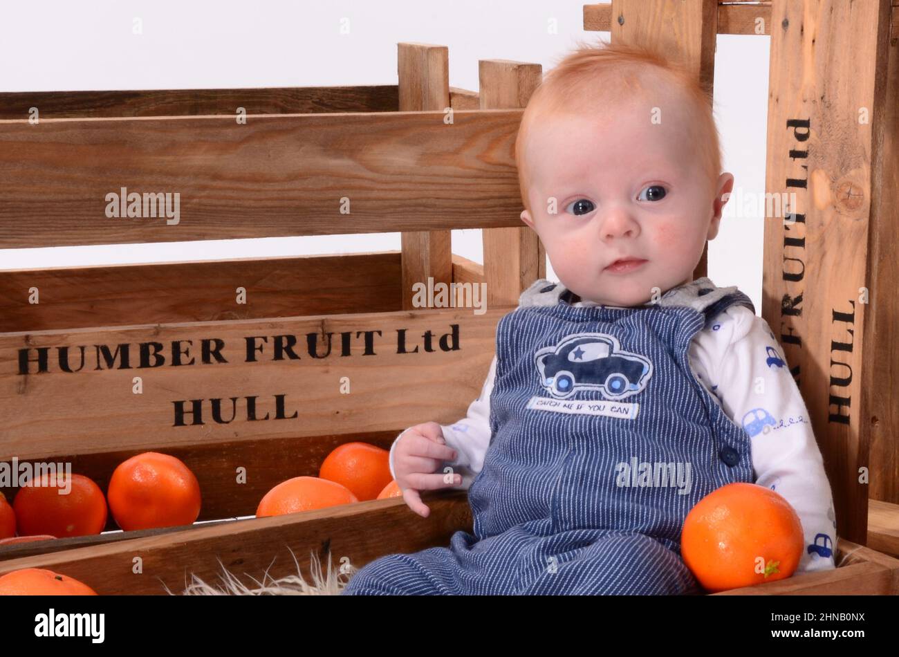 Fröhlicher kleiner Junge mit roten Haaren, der in einer orangen Obstkiste spielt Stockfoto