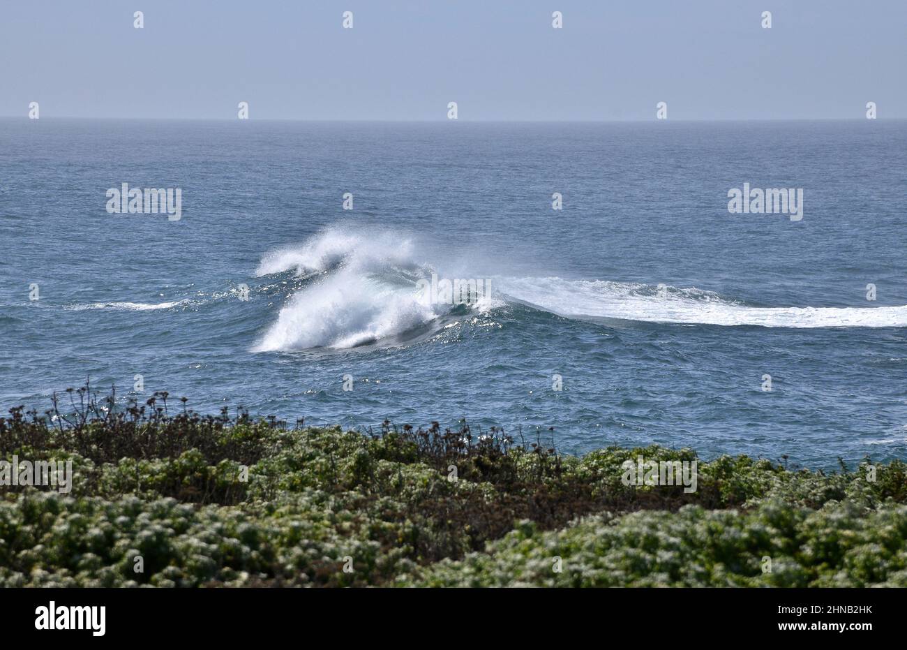Weiße Welle am blauen kalifornischen Ozean mit blauem Himmel und Grün im Vordergrund Stockfoto