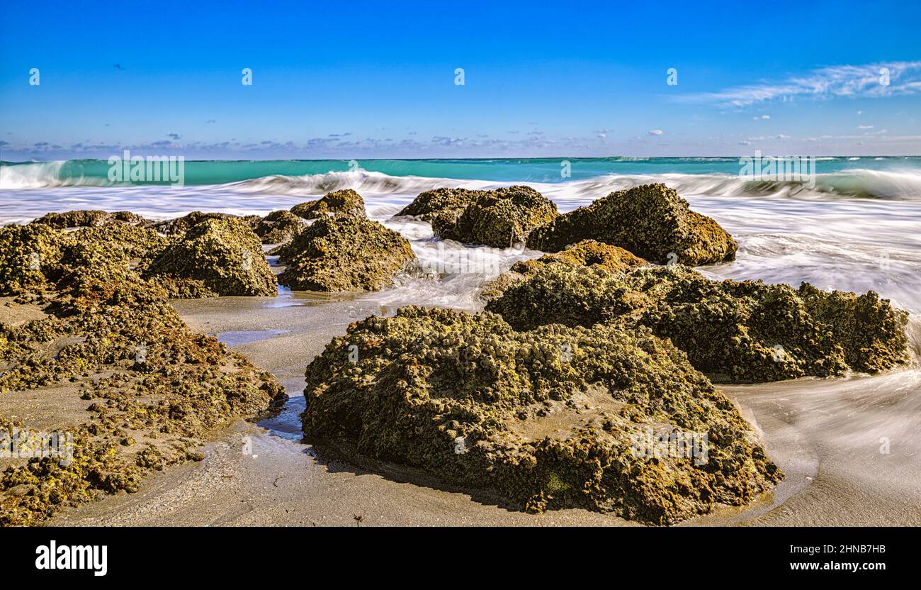 Abschnitt des künstlichen Kalksteinfelderriffs, der sich direkt vor der Küste am südlichen Ende des Red Reef Parks in Boca Raton befindet Stockfoto