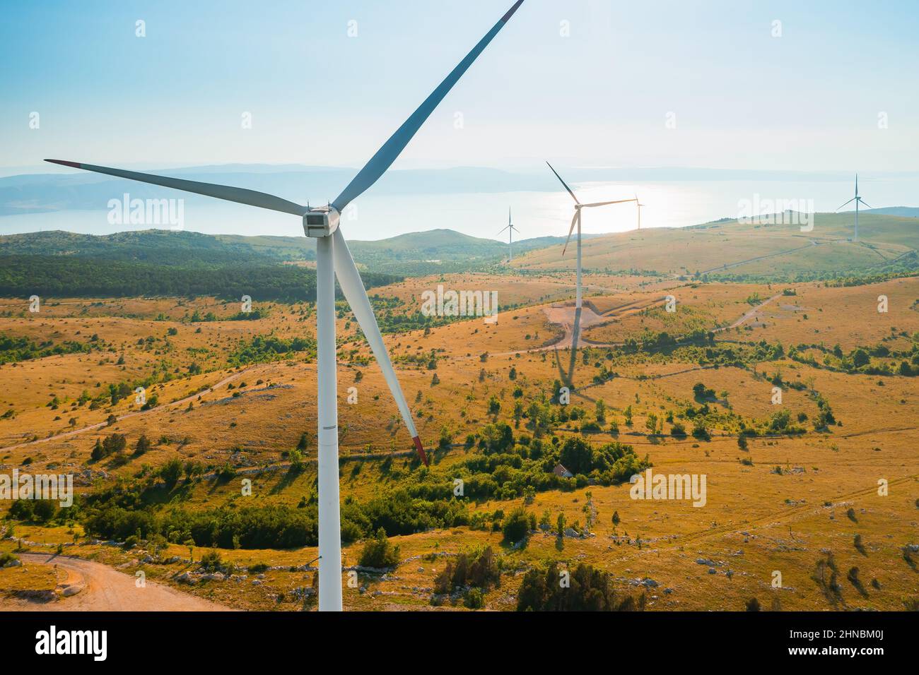 Windmaschinen mit rotierenden Rotorblättern erzeugen saubere elektrische Energie im Hochland mit Wäldern in der Nähe der Adria bei einem hellen, sonnigen Luftbild Stockfoto