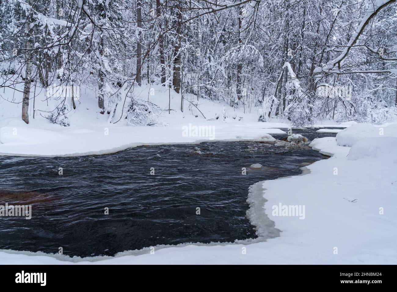 Eisfrei laufender Fluss im verschneiten Wald an einem düsteren kalten Wintertag Stockfoto