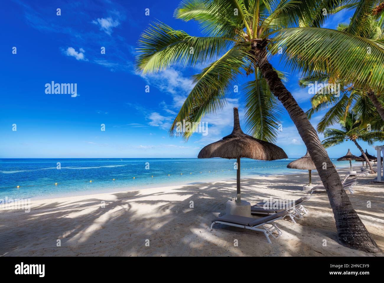 Liegen und Sonnenschirm am tropischen Palmenstrand des Resorts Stockfoto Liegen und Sonnenschirm am tropischen Palmenstrand des Resorts Stockfoto