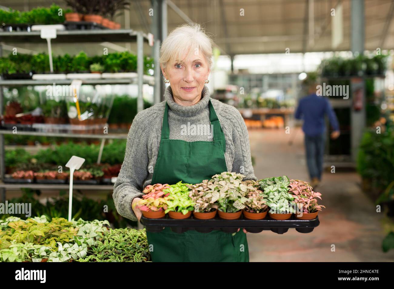 Lächelnde, gealterte Verkäuferin, die Tablett mit farbenfroher Topffittonie trug Stockfoto