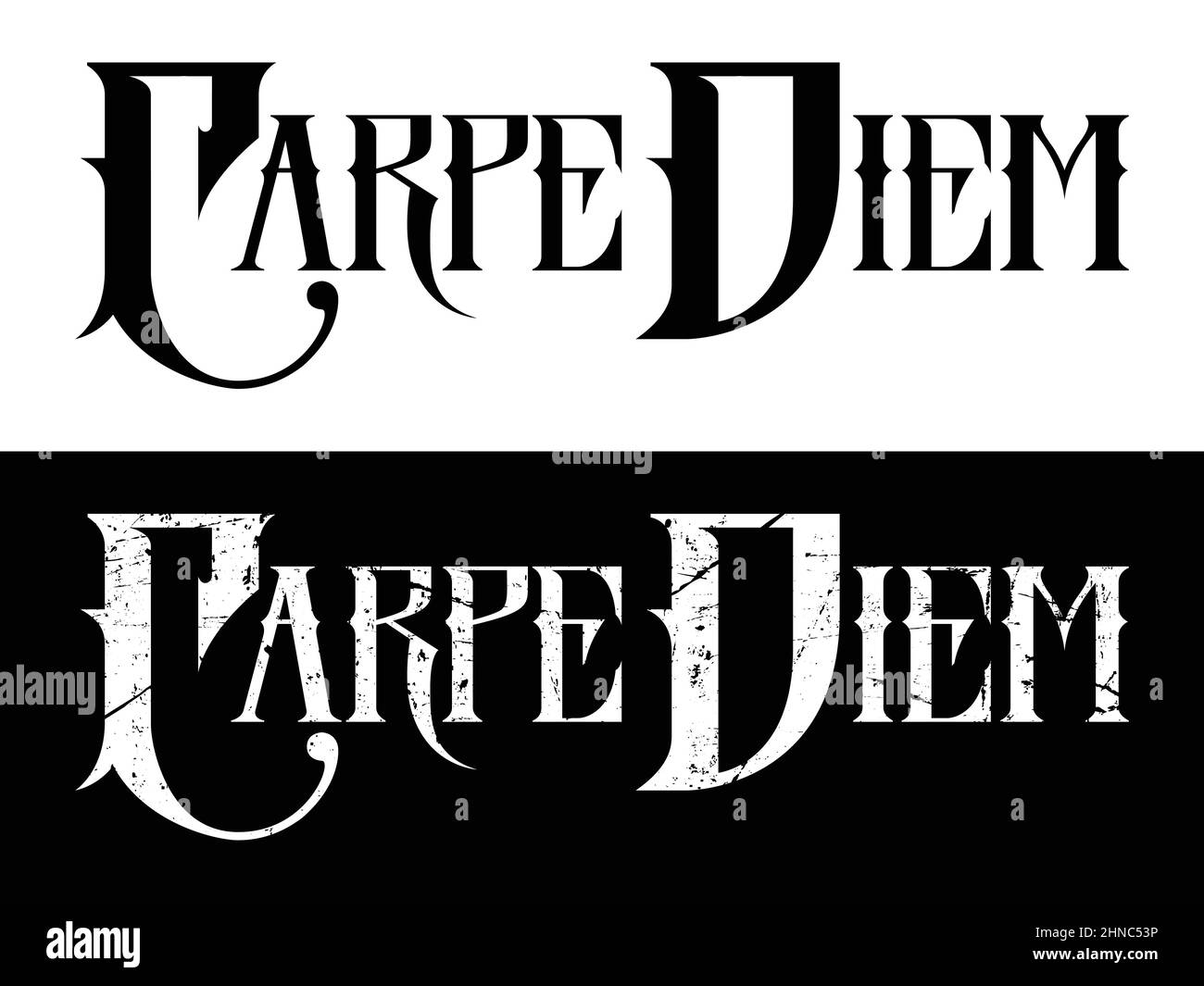 Carpe Diem. Typografie Logo Design Emblem. Digital Hand Lettering Logo Illustration Set. Stock Vektor