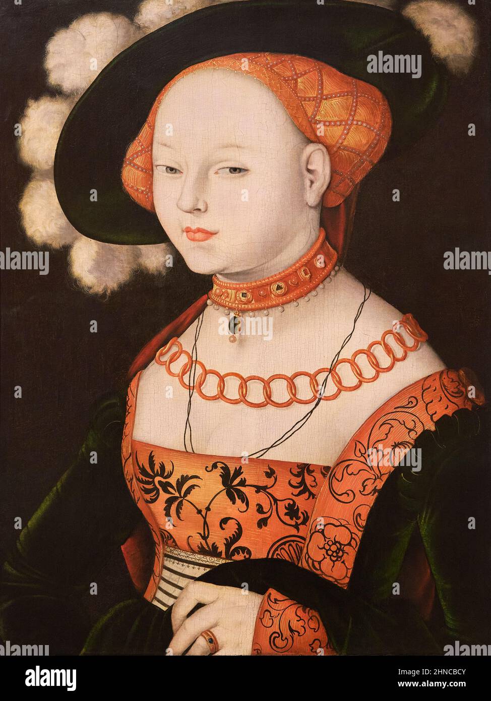 Hans Baldung Grien. Porträt einer Dame. 1530 (?). Öl auf der Platte. 69,2 x 52,5 cm Stockfoto