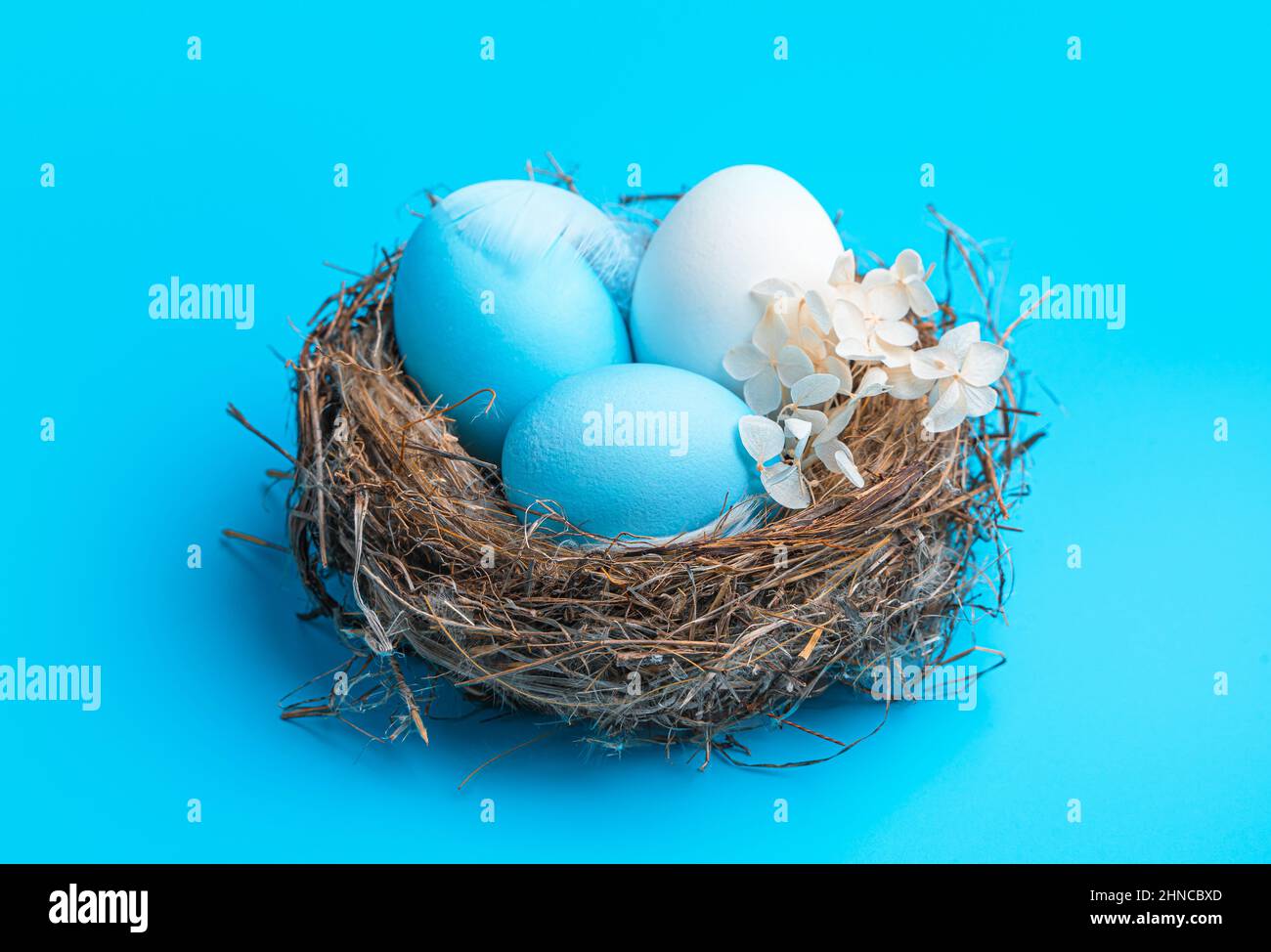 Drei Ostereier in einem Nest auf blauem Hintergrund. Osterhintergrund. Seitenansicht, Nahaufnahme. Stockfoto