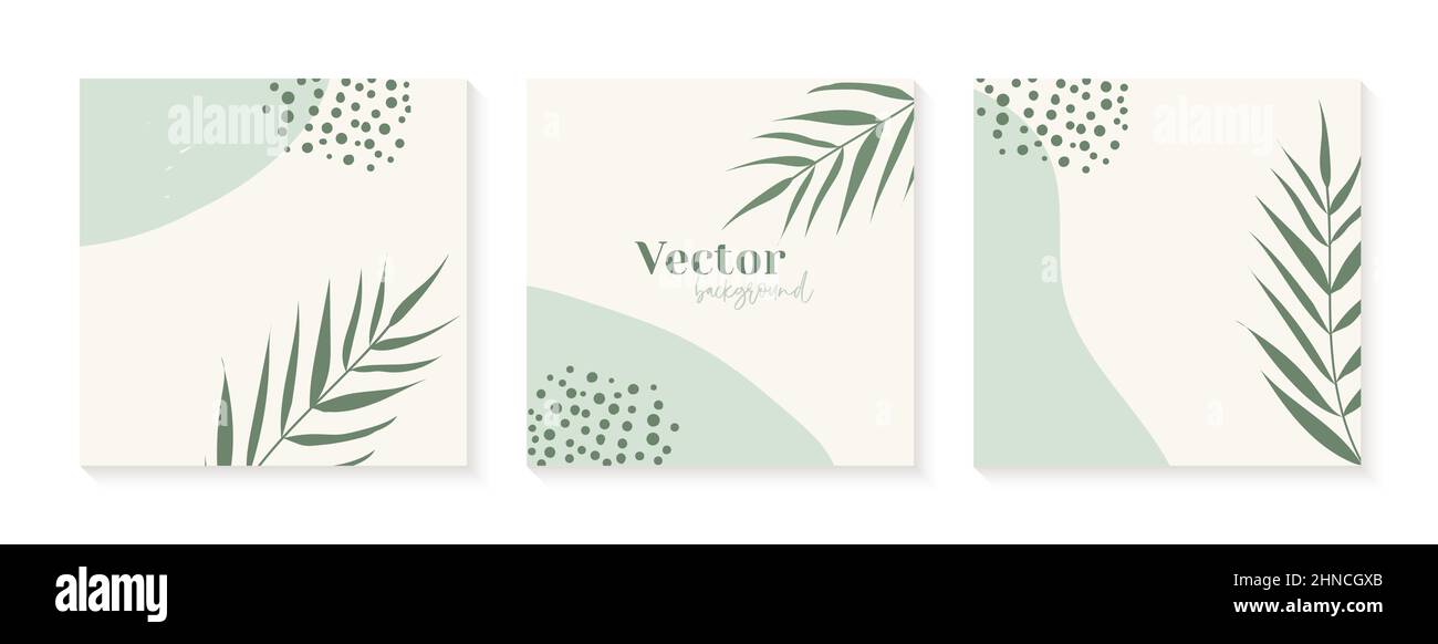 Minimale instagram Post Vorlagen in grünen Farben. Abstrakte organische Formen floralen Hintergrund. Vorlage für soziale Medien Stock Vektor