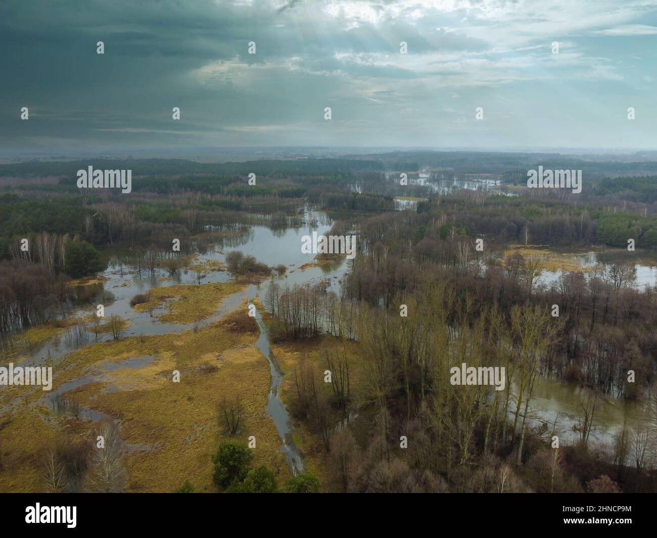 Überschwemmungen und Überschwemmungen während des Frühlings tauen aus einem kleinen Fluss. Stockfoto