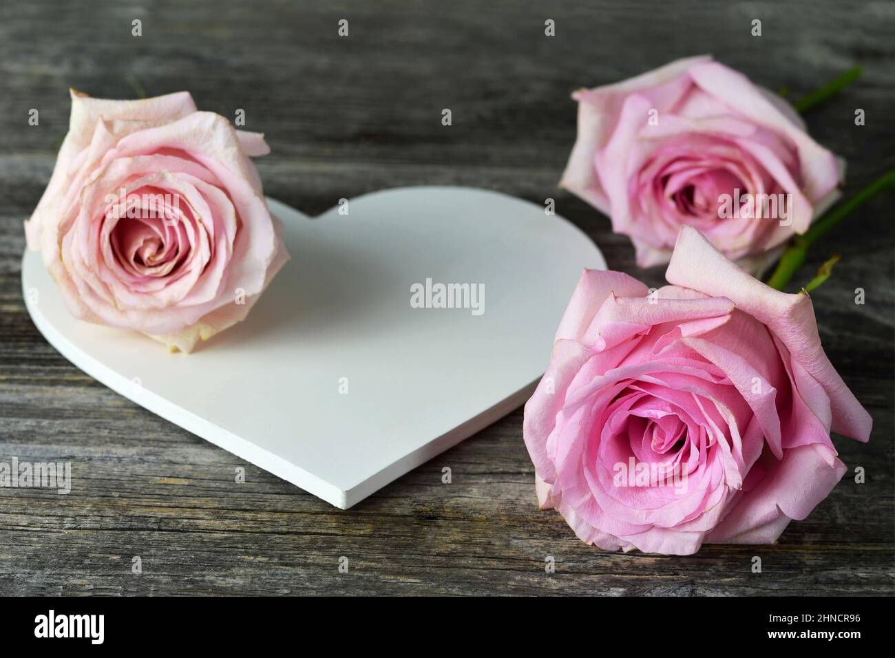 Karte zum Muttertag. Weiße hölzerne herzförmige Dekoration und rosa Rosen Stockfoto