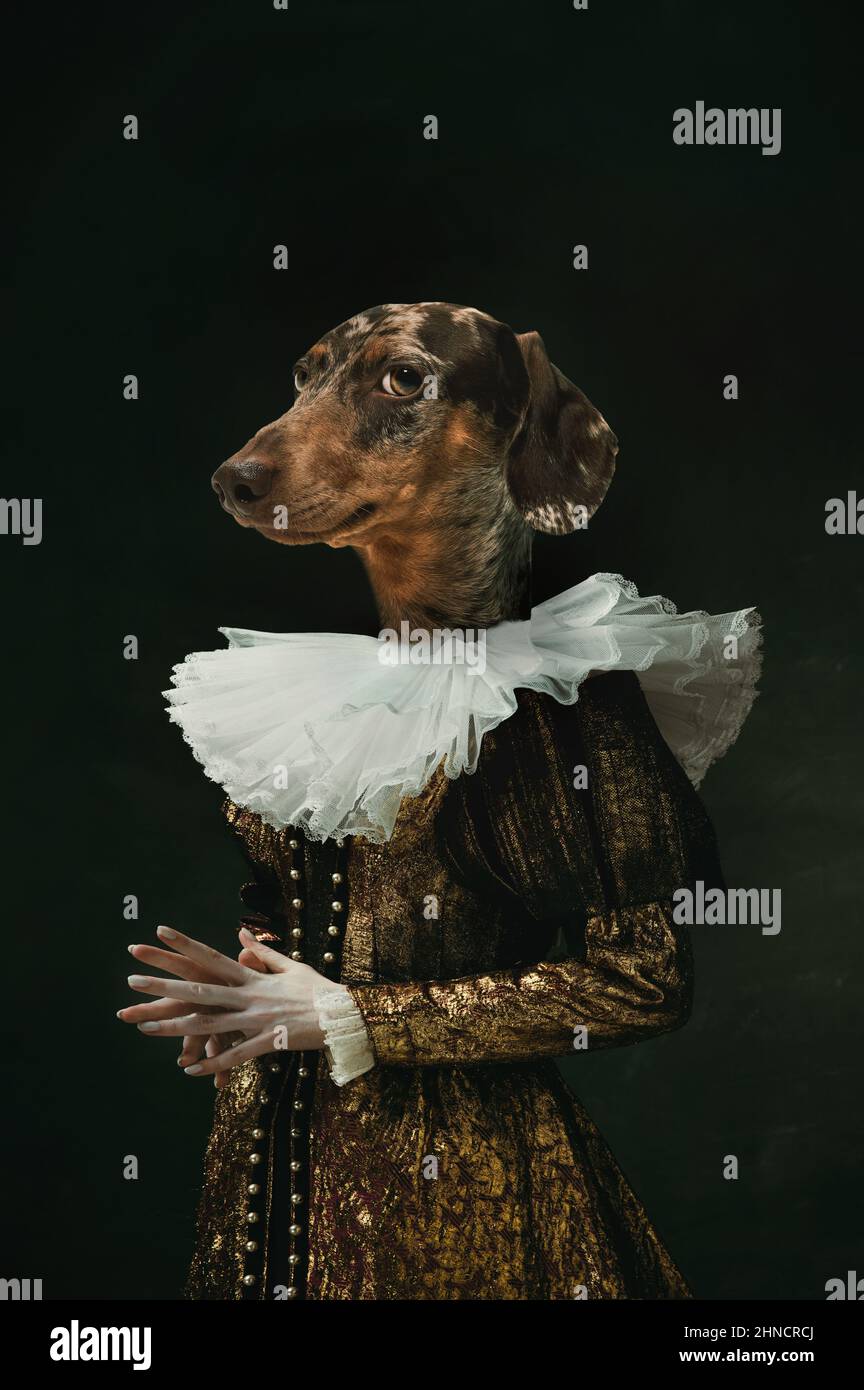 Edle Dame. Weibliche mittelalterliche königliche Person in Vintage-Kleidung mit Hundekopf isoliert auf dunklem Retro-Hintergrund geführt. Konzept des Vergleichs von Epochen Stockfoto