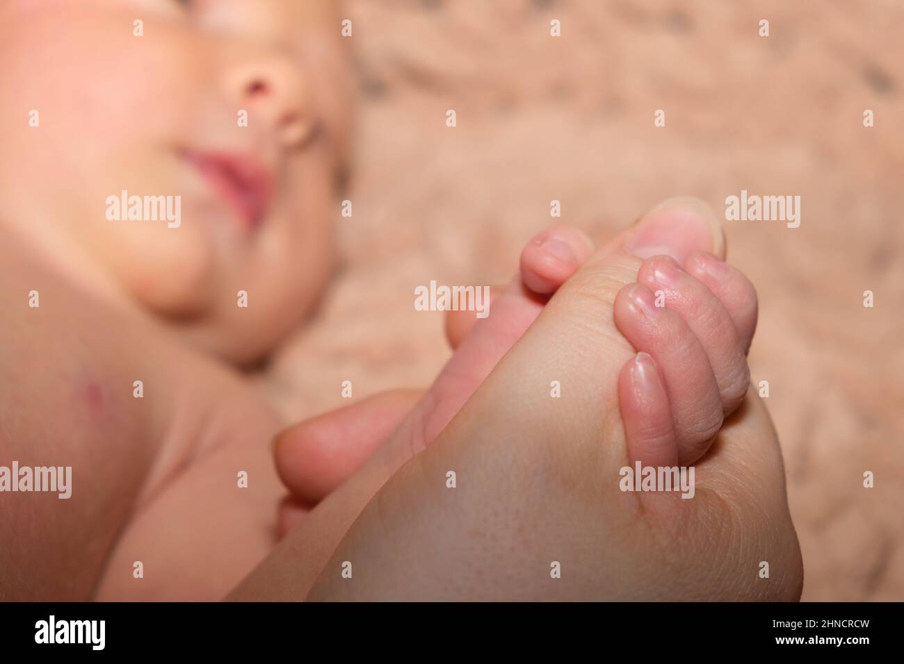 Ein neugeborenes Baby hält den Finger seiner Mutter. Trost und Zuneigung, Erstgeborene, Elternschaft Stockfoto