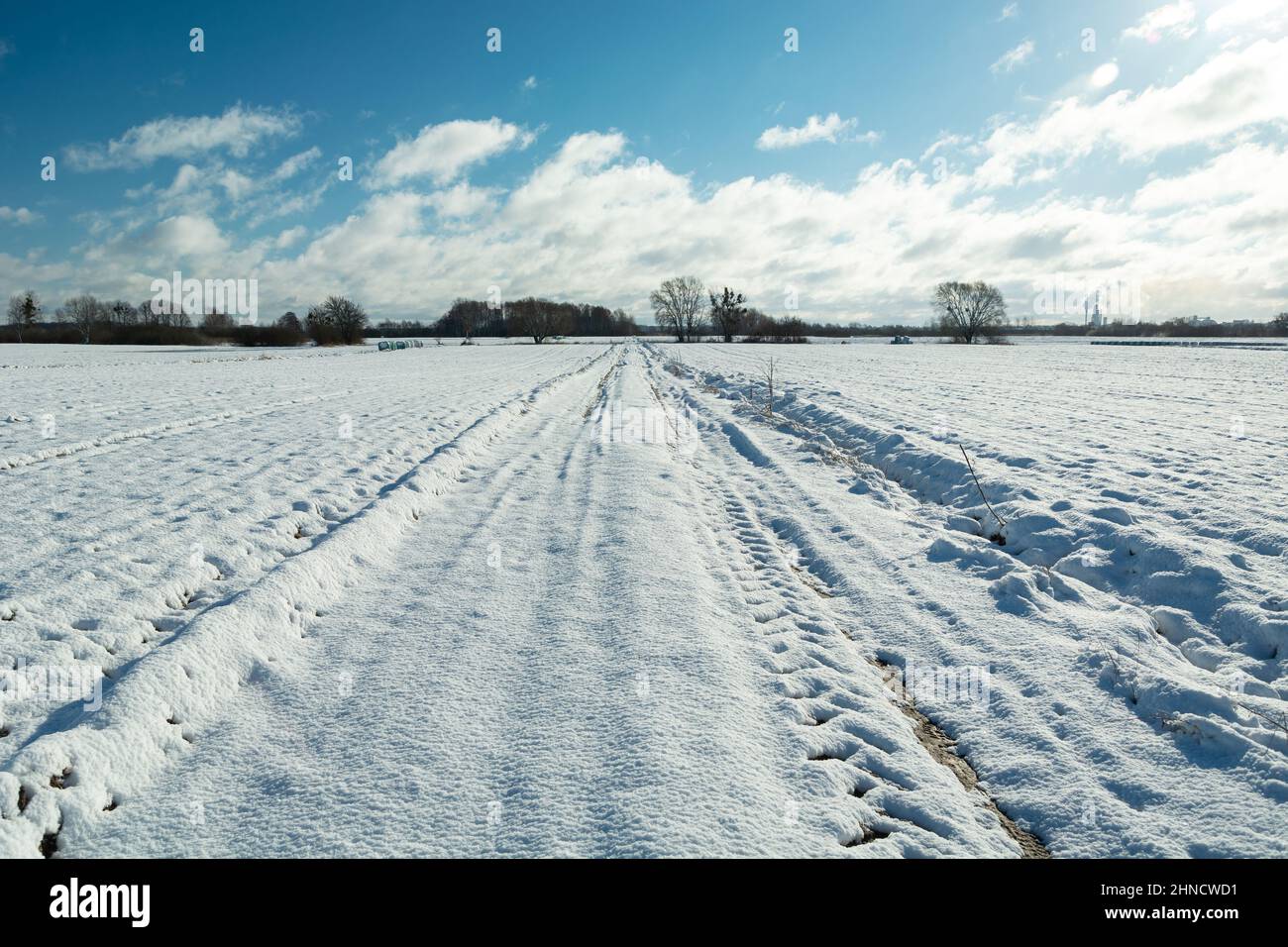 Schneebedeckte Landstraße und Ackerland, sonniger Wintertag Stockfoto