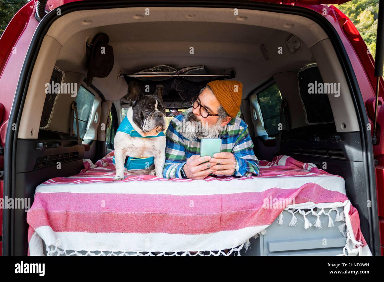 Reifer Mann beim Surfen im Smartphone, während er im Mini-Camper mit der französischen Bulldog auf dem Landweg liegt Stockfoto