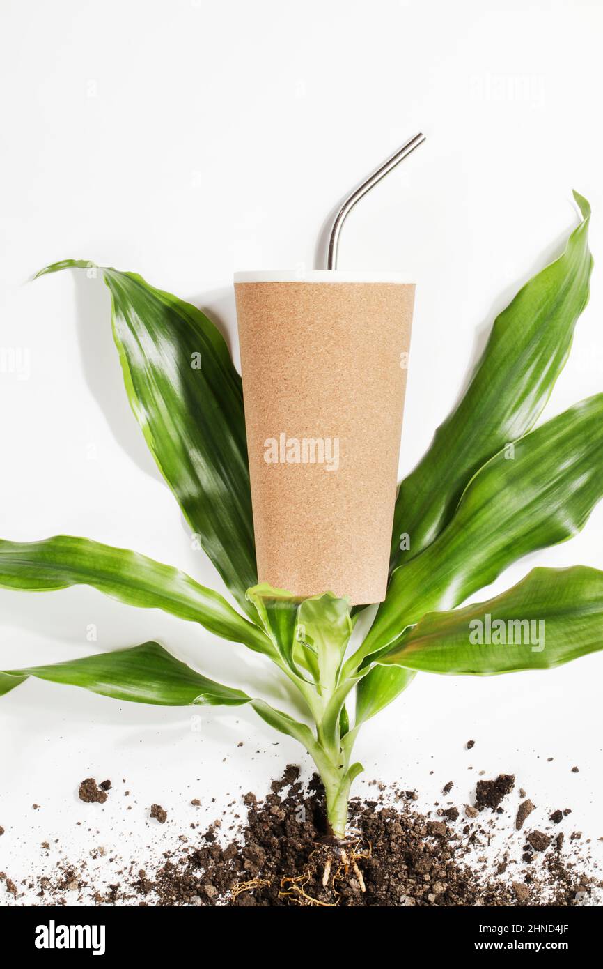 Wiederverwendbare Öko-Kaffee- oder Teetasse, Pflanze mit Wurzeln im Boden auf weißem Hintergrund. Nachhaltiger Lebensstil.Umweltfreundlich und Zero Waste.Flat Lay-Modell Stockfoto